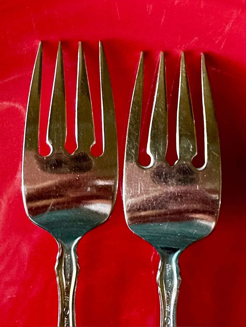 Oneida satinique salad